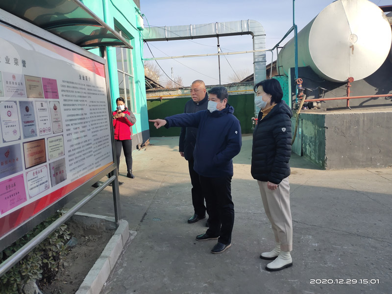 市城管局领导到公司视察